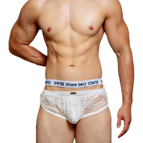 D.M Men's Triangle Underwear Solid Color Mesh Lace Mesh Breathable Home Arrow Pants D.M UNDERWEAR D.M Men's Triangle Underwear Solid Color Mesh Lace Mesh Breathable Home Arrow Pants D.M UNDERWEAR