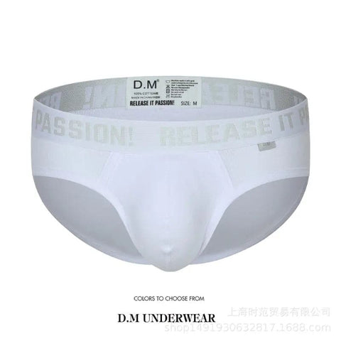 D.m Men's Briefs D.M UNDERWEAR D.m Men's Briefs D.M UNDERWEAR