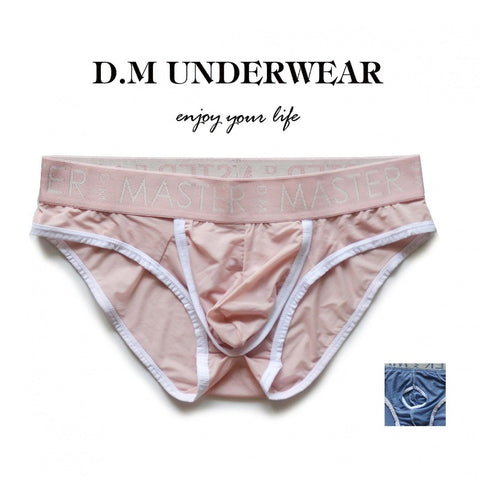 D.M Men's Sheer Mesh Briefs - Low Rise Icy Silk Underwear with Pouch Design