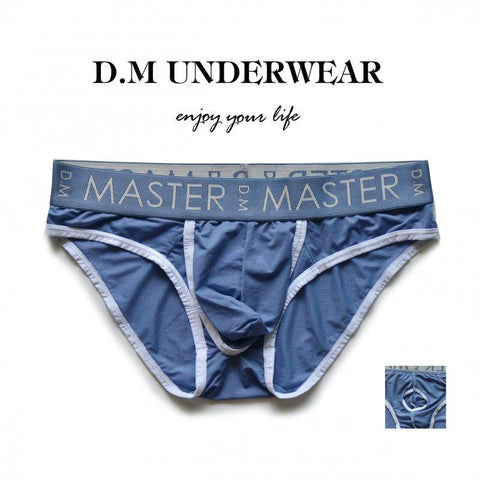 D.M Men's Sheer Mesh Briefs - Low Rise Icy Silk Underwear with Pouch Design