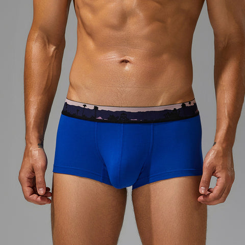 SEOBEAN Waistband Print Men's Briefs