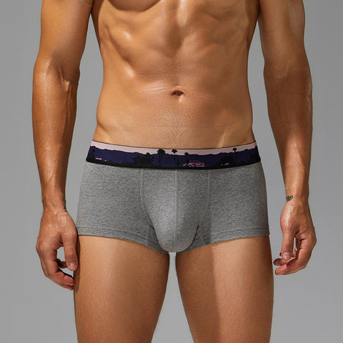 SEOBEAN Waistband Print Men's Briefs