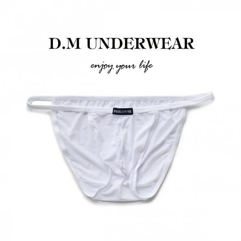 D.m Sexy Nylon Ice Silk Briefs D.M UNDERWEAR