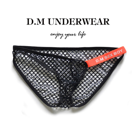 D.M Men's Panties Sexy Mesh Briefs