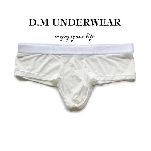 D.M Men's Sheer Mesh Thong - Low Rise Icy Silk G-String with Pouch