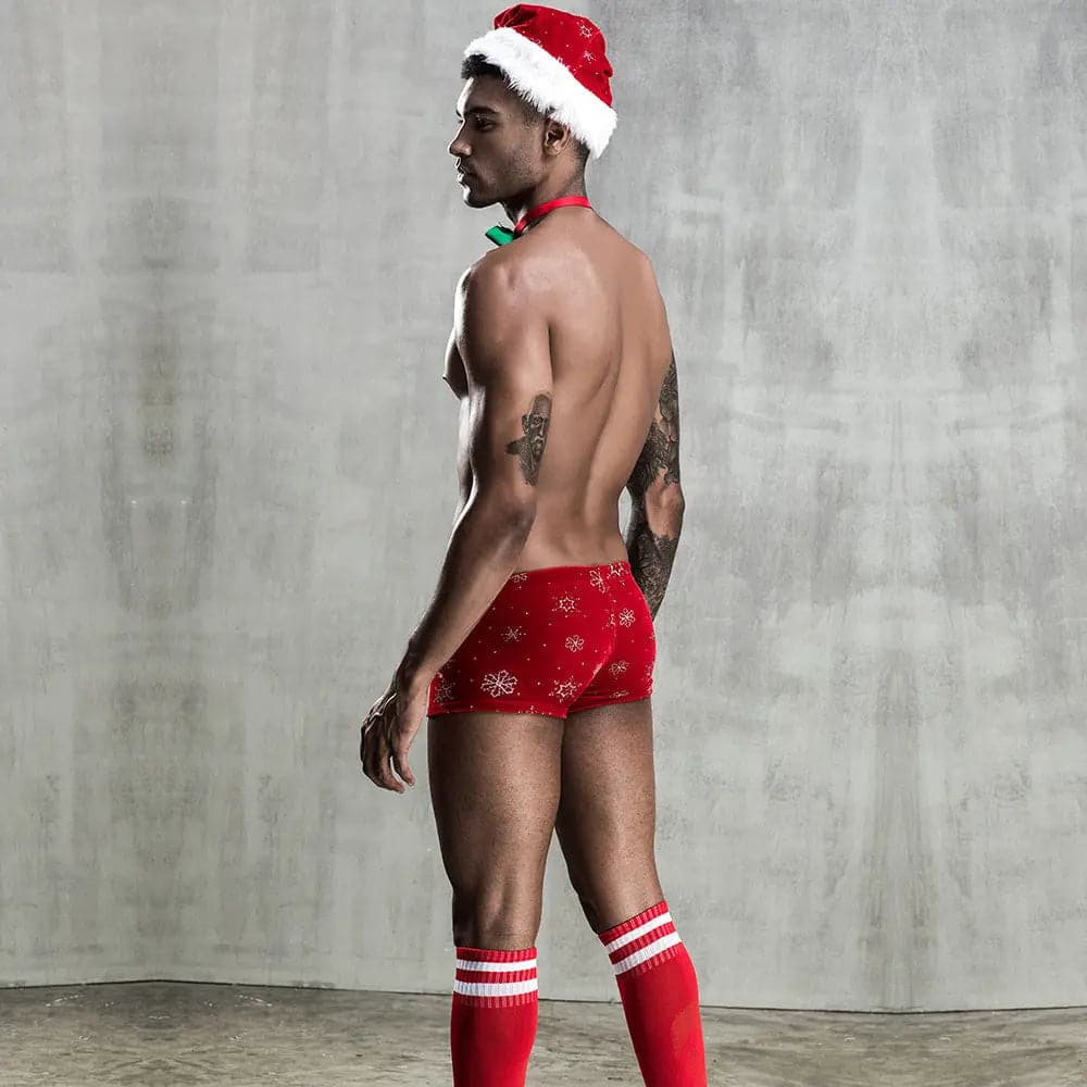 DM Lingerie Bodysuit Christmas Costume for Men D.M UNDERWEAR