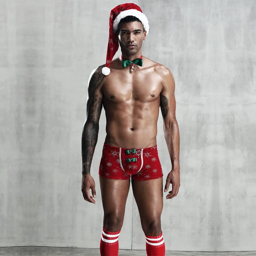 DM Lingerie Bodysuit Christmas Costume for Men D.M UNDERWEAR